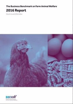 compassion_benchmark_report